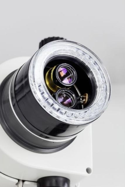 Immagine prodotto Kern Microscopio binoculare, ingrandimento 10X Beleuch