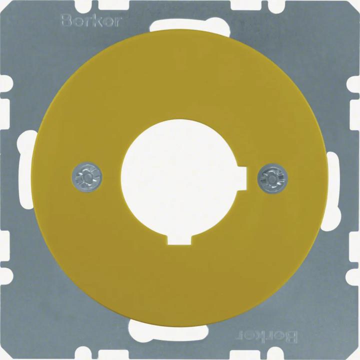 Actual product image Berker Central plate