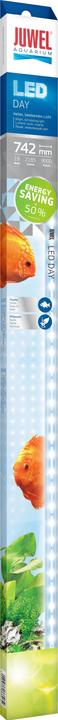 Juwel Aquarium Giorno del LED (LED, 19 W)