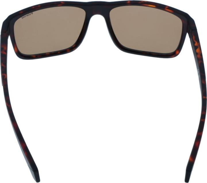 Actual product image Polaroid PLD 2158/S