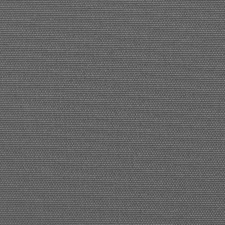 Image du produit vidaXL ausziehbare Seitenmarkise (10 m)