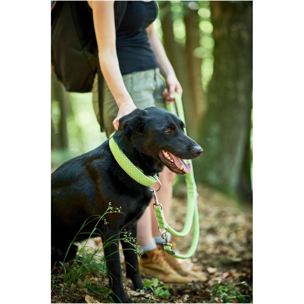 Thumbnail - Hunter Verstellbare Führleine Hilo (S, Hund, Hundesport), Halsband + Leine