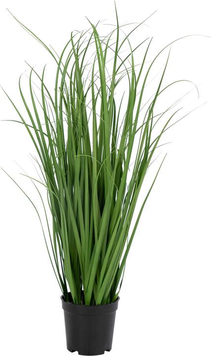 House Nordic Poa (68 cm)