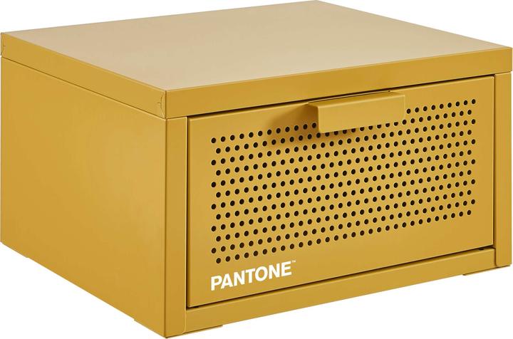 Actual product image Pantone Pantone (35 x 35 x 22 cm)