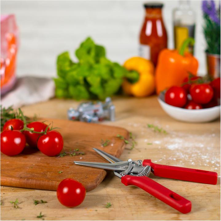 Actual product image Kuhn Rikon Classic (22 cm)