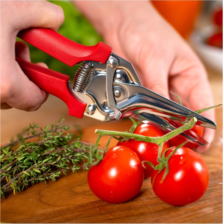 Actual product image Kuhn Rikon Classic (22 cm)