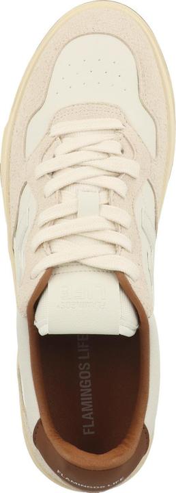 Image du produit Flamingos Life Ventura (41)