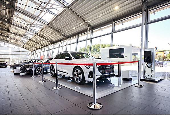 Produktbild Via Guide Gurtpfosten Beltrac EXTEND