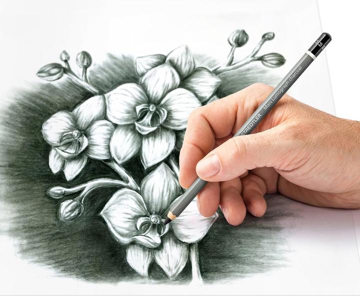 Produktbild Staedtler Kohlestift Mars Lumograph (H, 1x)