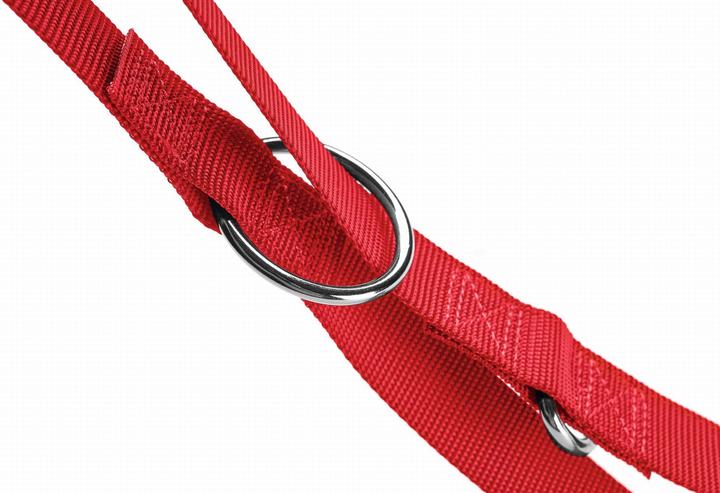 Actual product image Hunter London 20/200 - multiple pavadėlis for a dog (Dog, Dog sport)