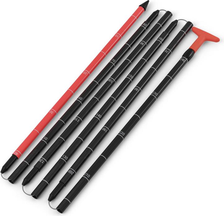 Actual product image Salewa Sella Carbon avalanche probe