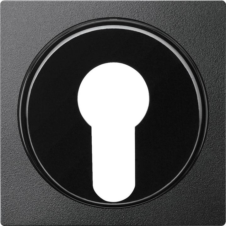 Actual product image Merten Central plate for changeover latching switch- 318114