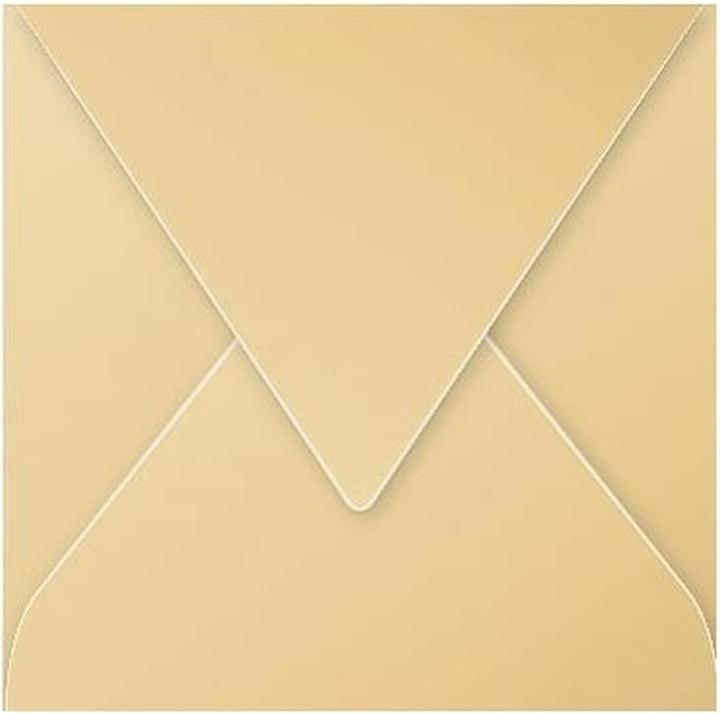 Immagine prodotto Pollen Umschläge (140 x 140 mm, 20 x)