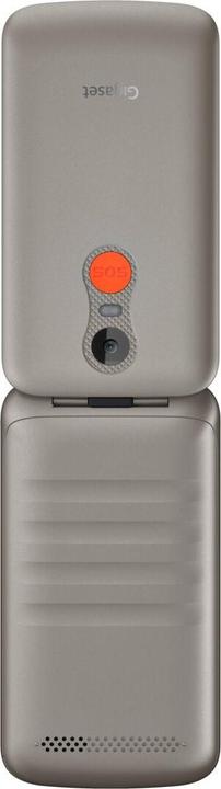 Actual product image Gigaset GL595 silver (2.80", 2G, 0.30 Mpx)