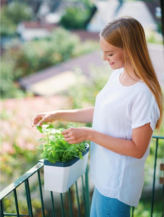 Actual product image Gusta Garden Kräutertopf HARRY HERBS mit Haube, Weiss (36.50 x 15 x 25 cm)
