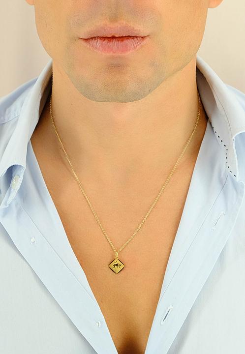 Image du produit Muau Taureau (Or jaune 750/18K)