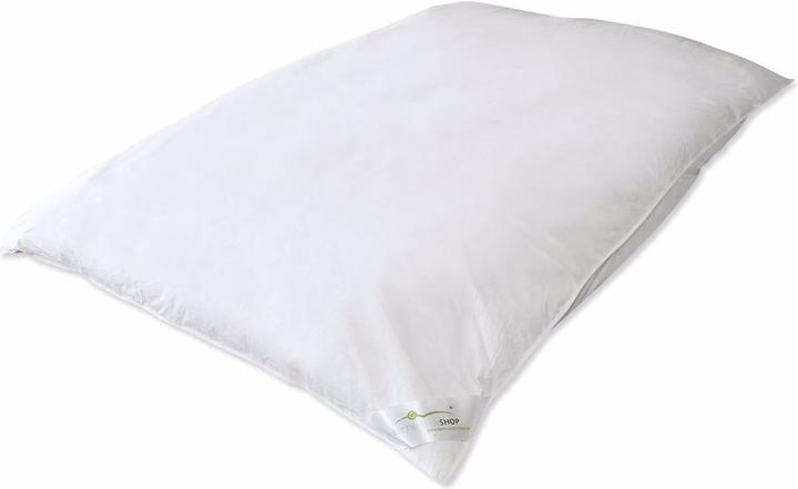 Produktbild Traumschlaf Ballon (2400 g, 135x200 cm)
