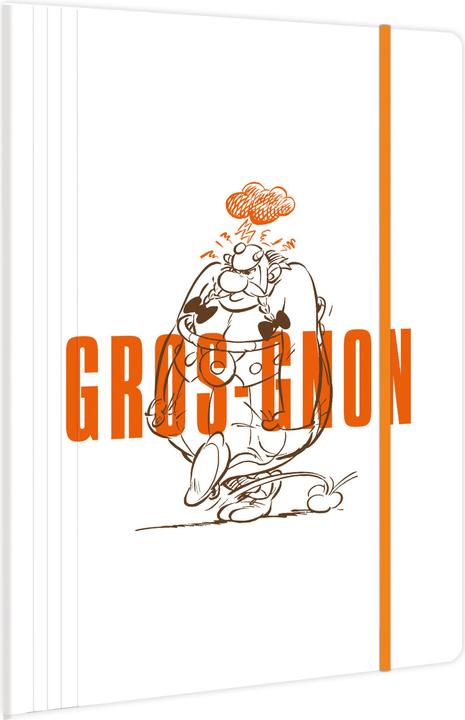 Produktbild Clairefontaine Asterix 5 Sammelmappe (24 x 32 cm, 1x)