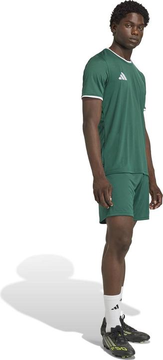 Image du produit Adidas Entrada Shorts (M)