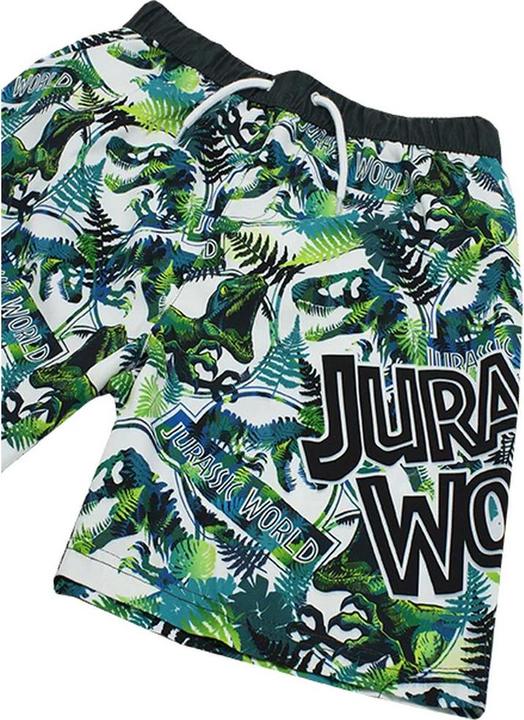 Actual product image Jurassic World Short de bain Dinosaure pour garçons (116)