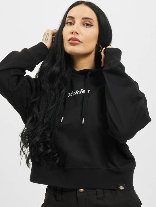 Image du produit Dickies Sweat à capuche Loretto Boxy - 97077 (XXS)