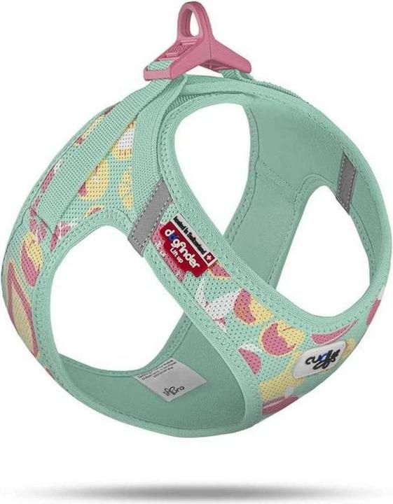 multicolore, Turquoise, Vert