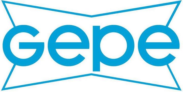 Immagine prodotto Gepe Protettore per schede di memoria all-in-one all-in-one sicuro Grigio (Coperchio scheda di memoria)