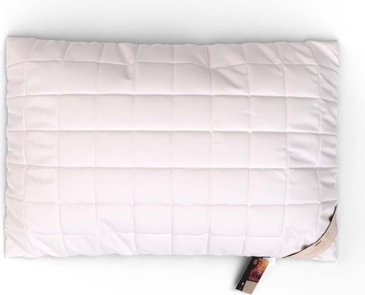 Image du produit Erzstef Objecta Oreiller cuit (65 x 65 cm)