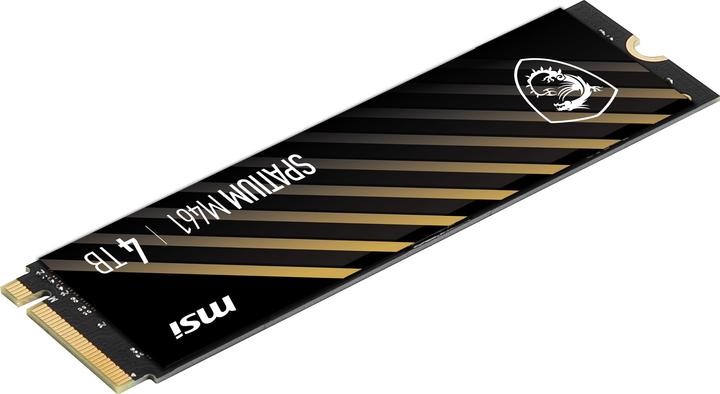 Image du produit MSI Spatium M461 (4000 Go, M.2 2280)