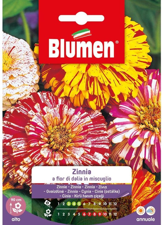 Immagine prodotto Blumen Semi Zinnia Dahlia Mix fioritura (Semi di fiori)