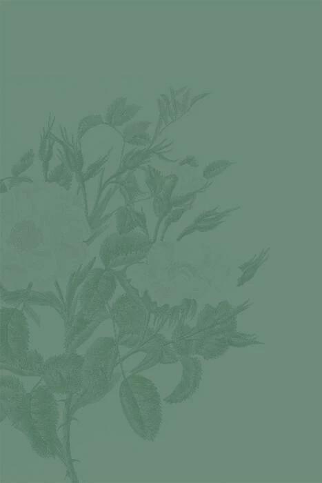 Produktbild Die Damen mit dem grünen Daumen (Deutsch, Claudia Lanfranconi, Sabine Frank, 2013)