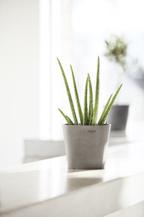 Immagine prodotto Ecopots Amsterdam Mini (17 cm)