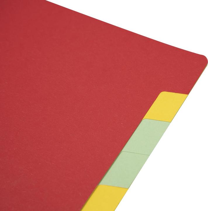 Image du produit Biella Dossier de classement en couleur (A4, 1x)