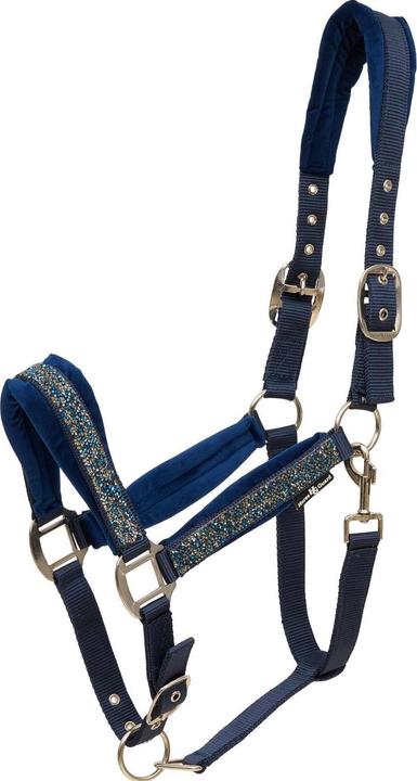 Image du produit Horse Guard Angel