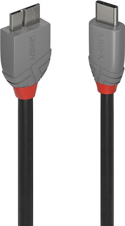 Lindy USB 3.2 Typ C an Micro-B Kabel, Anthra Line (0.50 m)