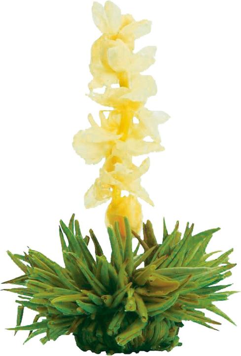 Image du produit Creano Erblühtee (0.50 l)