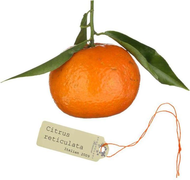 Produktbild Florascent Aroma Spray Mandarine