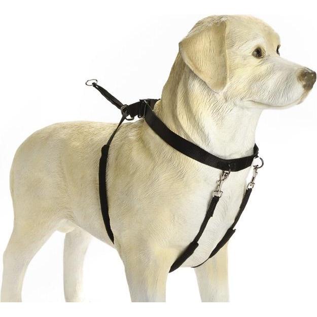 Beeztees Bz Gentle Walker Schwz Mittel (M, Hund, Allgemein), Halsband + Leine