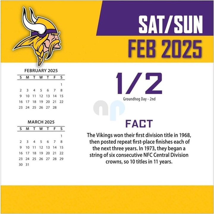 Actual product image NFL - Minnesota Vikings -Desk Calendar 2025 (French, Spanish, Italian, English, German)