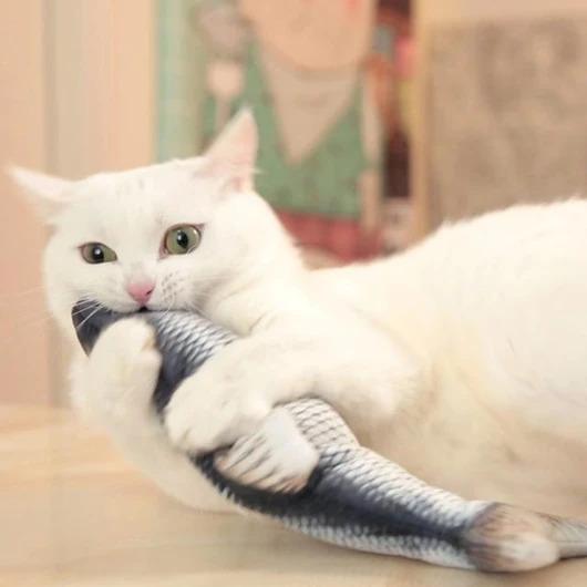 Actual product image PhoneLook Cat Toy Soft Toy Dancing Fish Pet Entertainment Game (Plush toy cat)