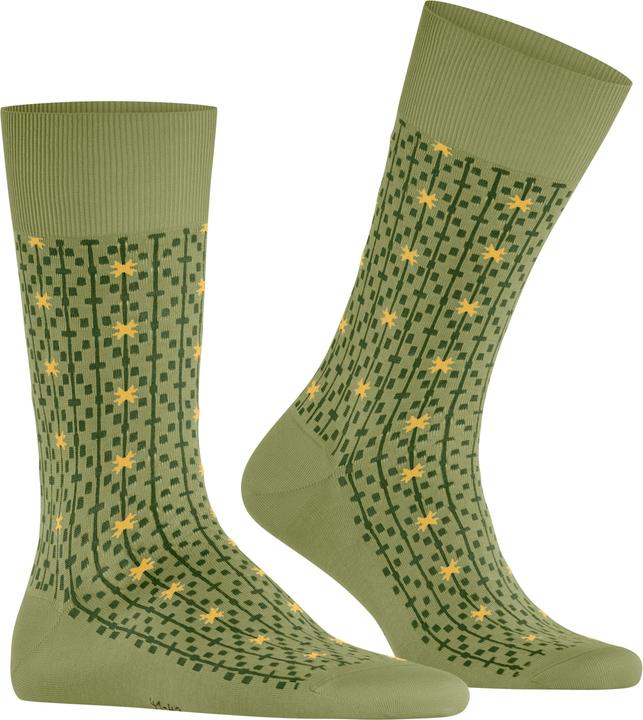 Produktbild Falke Sun Touch Baumwollsocken (Einzelpack, 41 - 42)