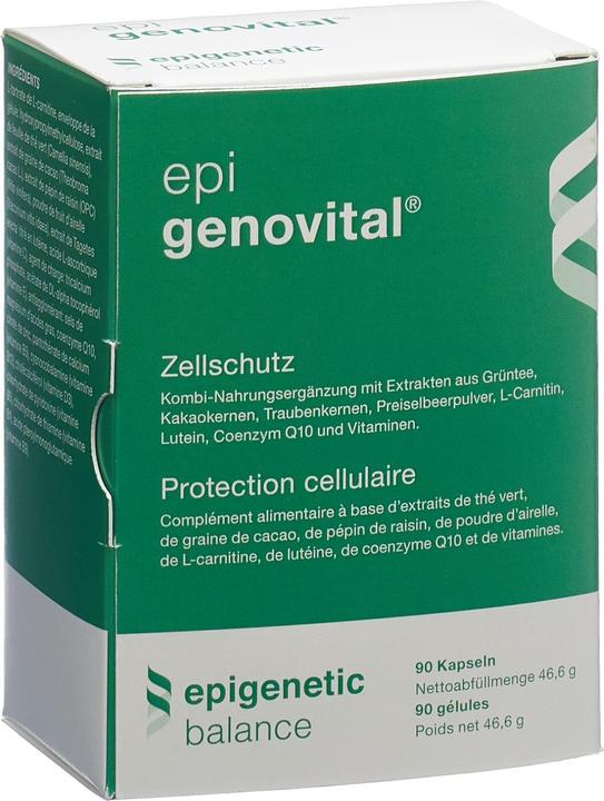 Actual product image Epigenovital more swing fit and active 90 caps (90 Piece, Capsules, 86 g)