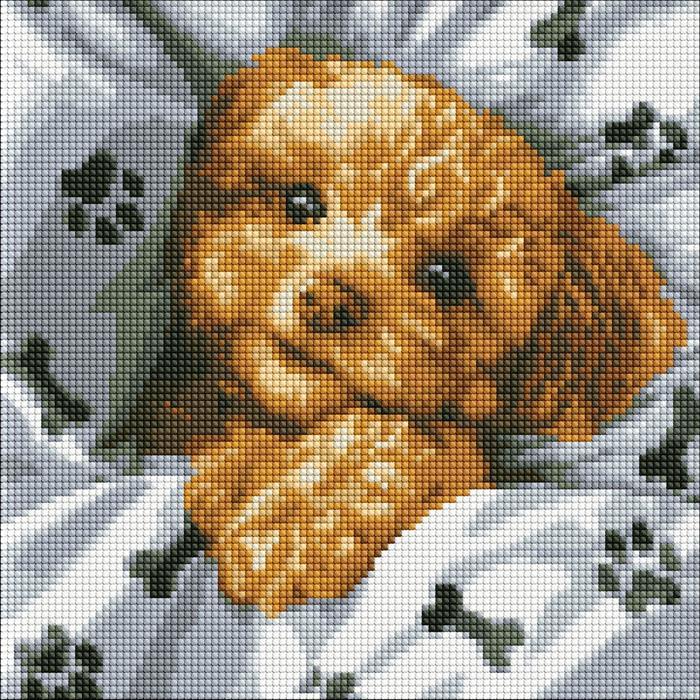 Ideyka Diamond Painting - Niedliches Maltipoo 30 x 30