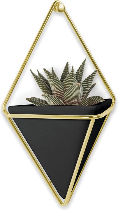 Actual product image Umbra Trigg Wall Display S (11.40 cm)