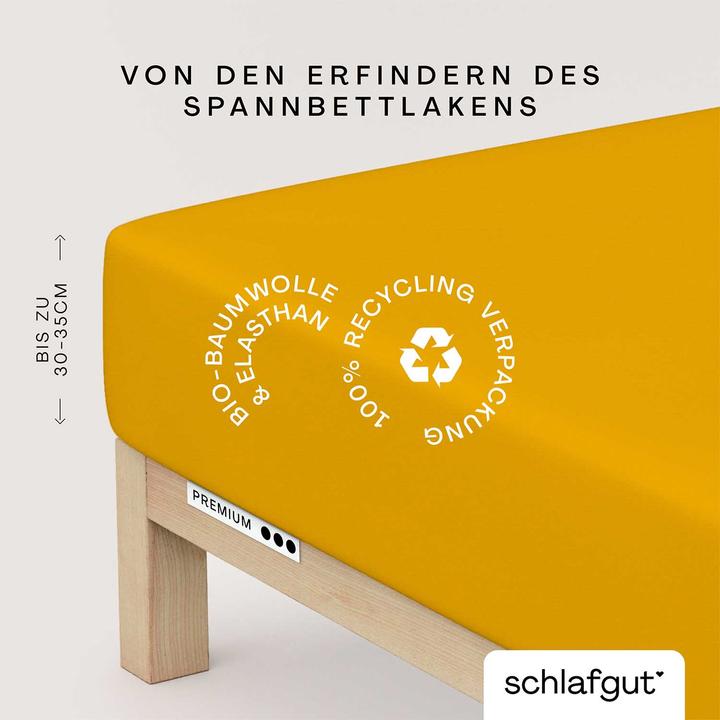 Produktbild schlafgut Premium (90 x 190 - 100 x 220 cm)