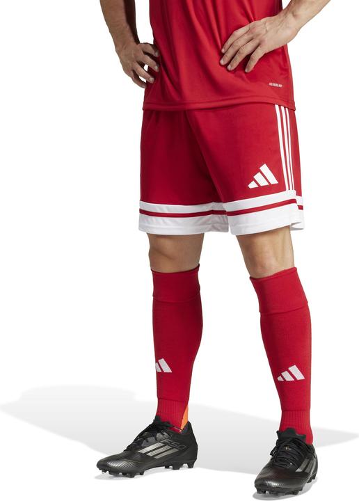 Actual product image Adidas Squadra 25 Short (M)