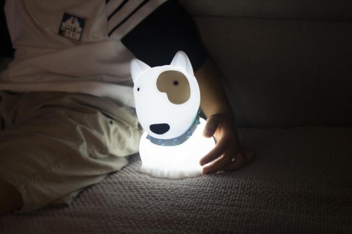 Image du produit Dhink Medium Nightlight Puppy Sam Soft Touch Rechargeable