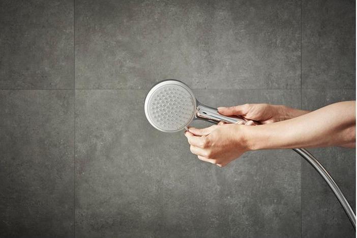 Actual product image hansgrohe Croma 100 Vario (4 Beam types, 18 l/min)