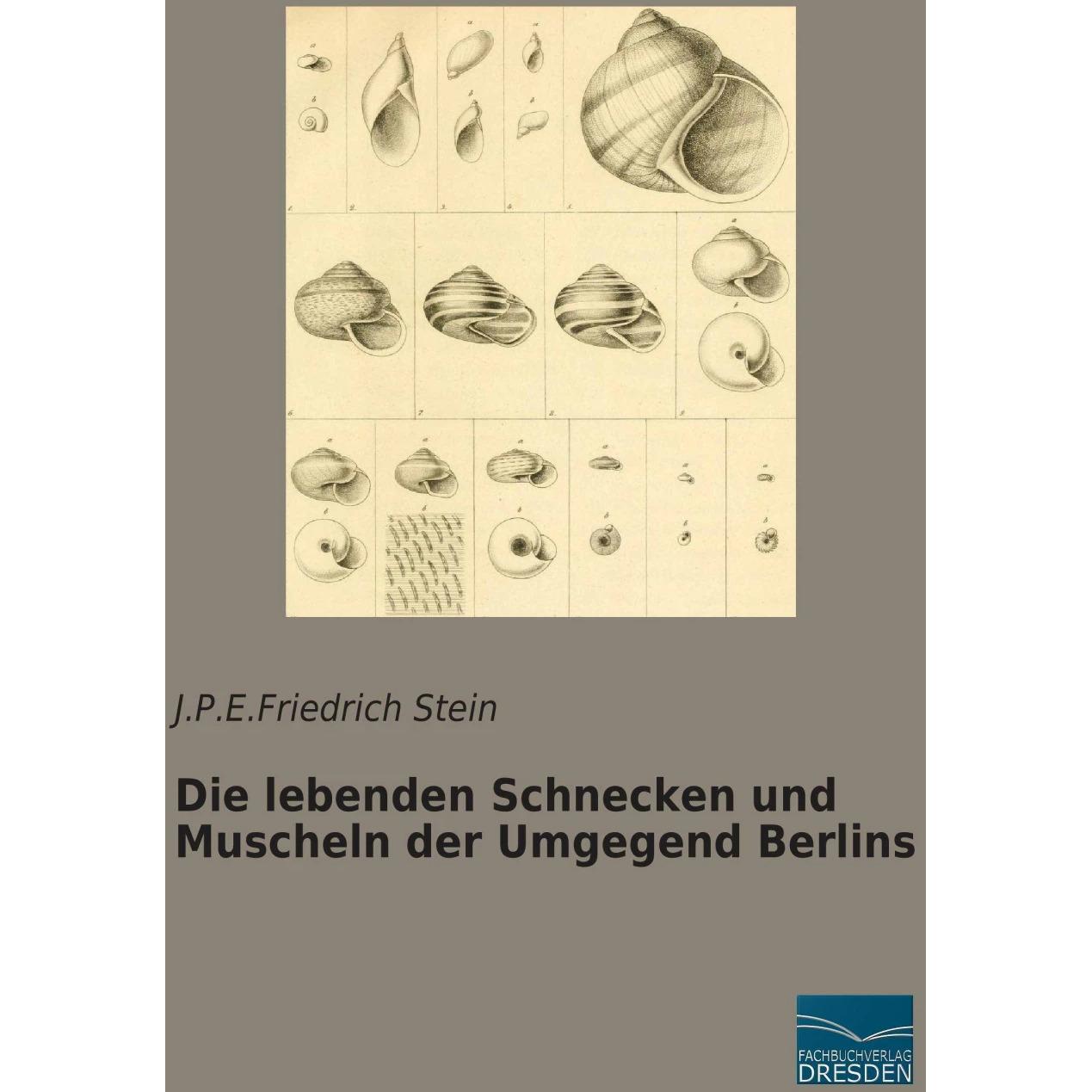 Die lebenden Schnecken und Muscheln der Umgegend Berlins, Fachbücher von J. P. E. Friedrich Stein