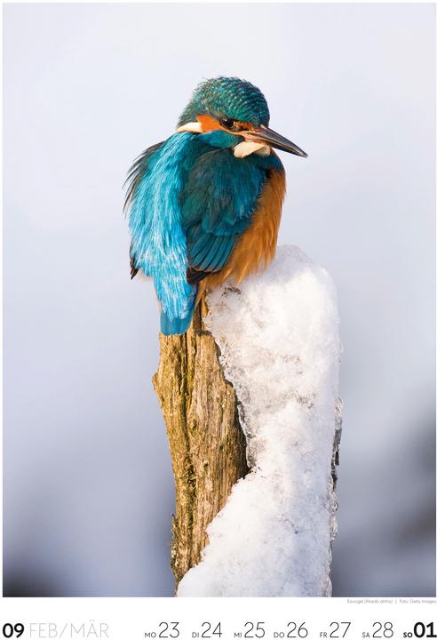 Actual product image Natur - Wochenkalender 2026